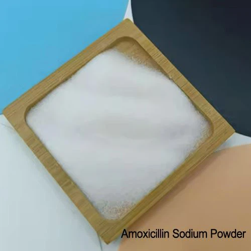 API амоксициллин сырье